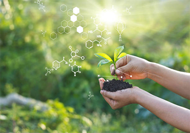 Inventory of the top 5 new bio-based environmentally friendly packaging materials, see what are they?